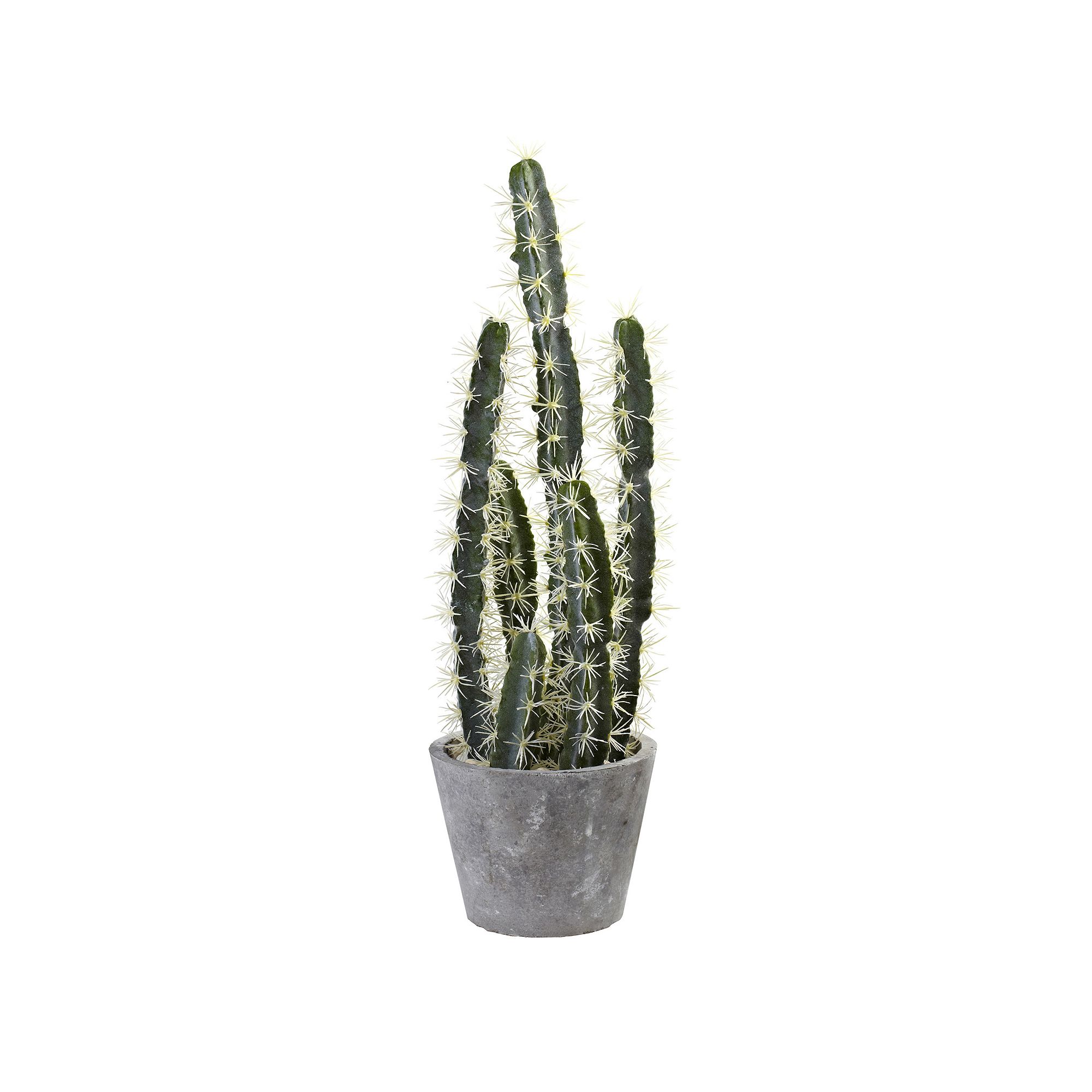 nearly natural Artificial Cactus Garden Cement Planter, Green