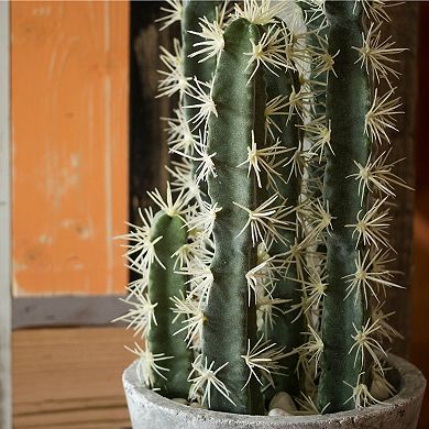 nearly natural Artificial Cactus Garden Cement Planter