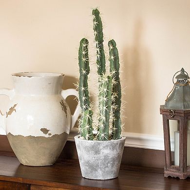 nearly natural Artificial Cactus Garden Cement Planter