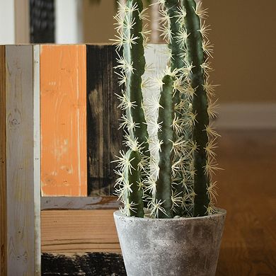 nearly natural Artificial Cactus Garden Cement Planter