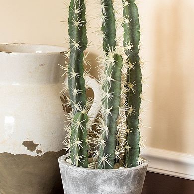 nearly natural Artificial Cactus Garden Cement Planter