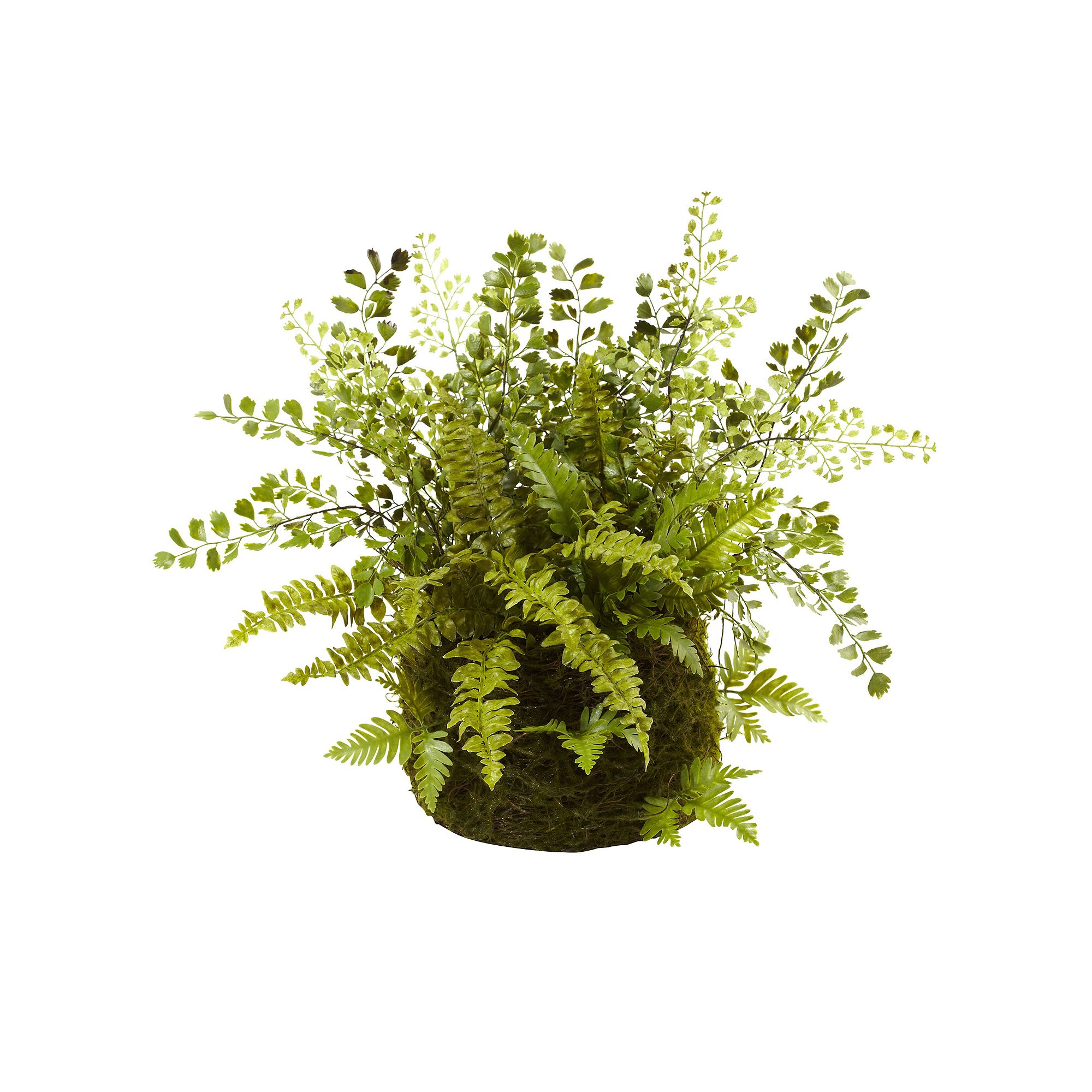 nearly natural Mixed Fern Twig & Moss Basket, Green