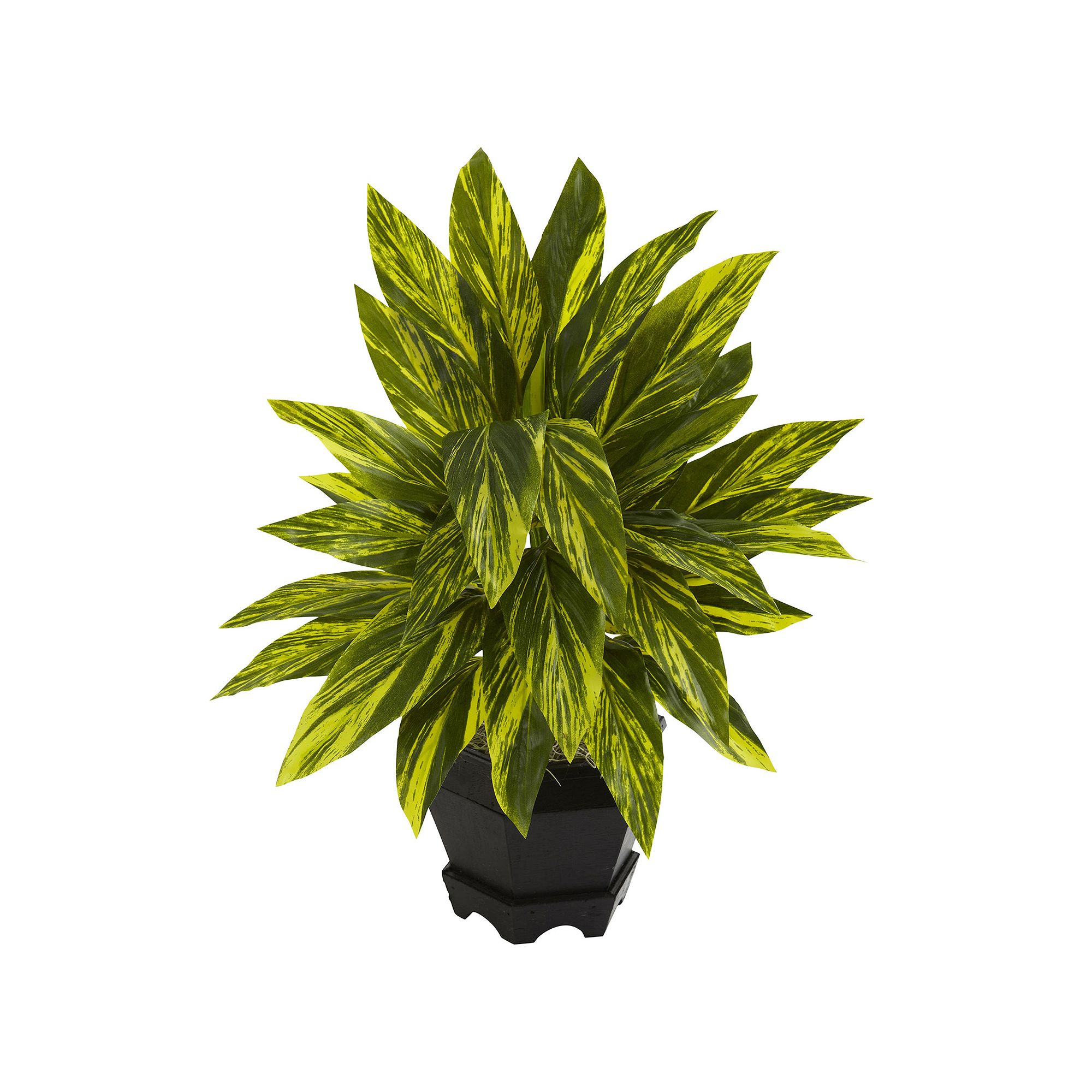 nearly natural Ginger Plant, Green