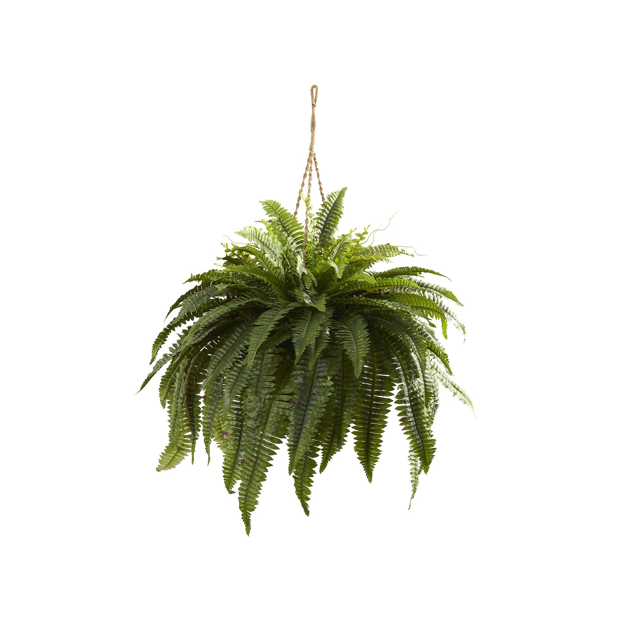 nearly natural Double Giant Hanging Boston Fern, Green