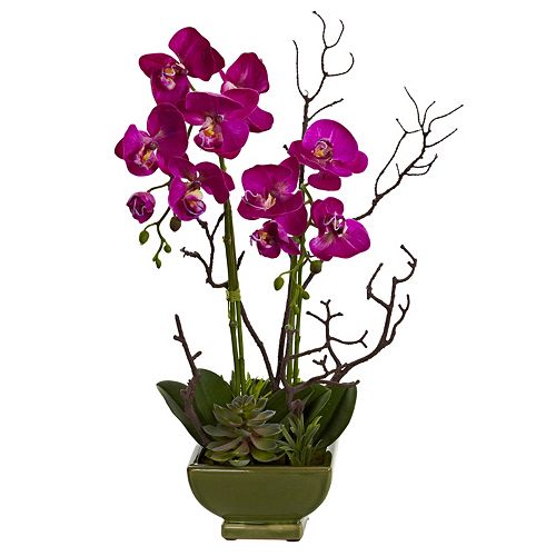 nearly natural Orchid & Succulent Arrangement