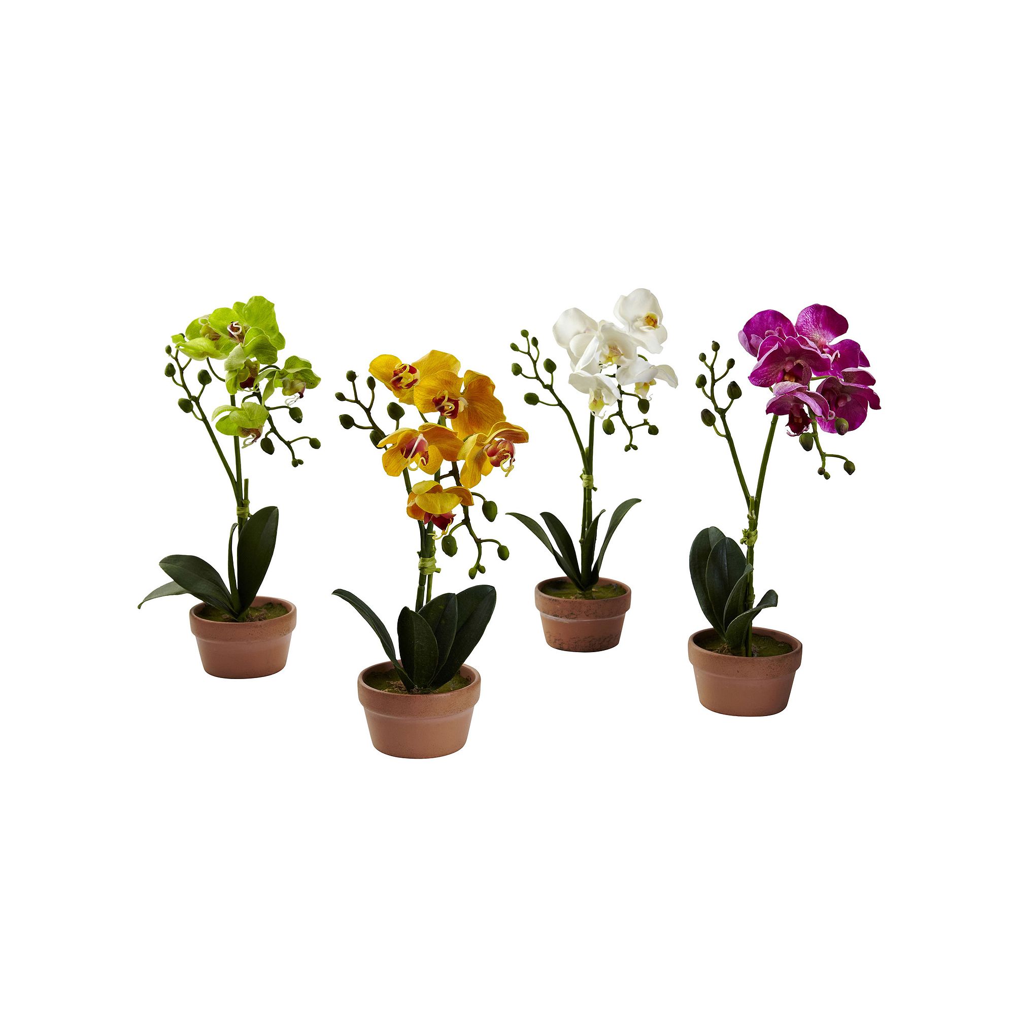 nearly natural 4-piece Phalaenopsis Orchid Set, White