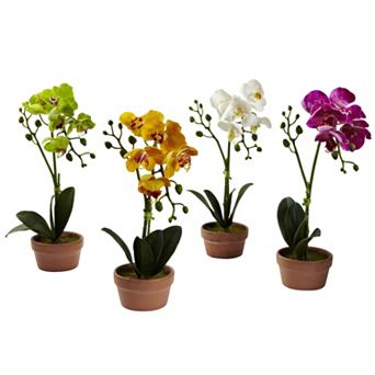 nearly natural 4 pc Phalaenopsis Orchid Set