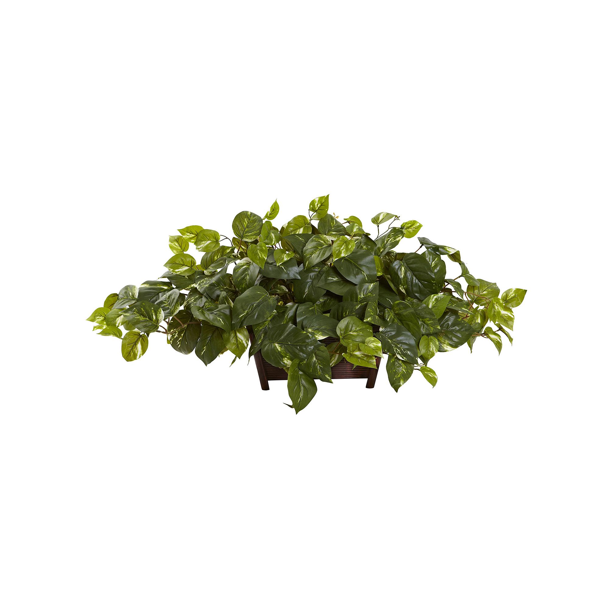 nearly natural Pothos Rectangle Decorative Arrangement, Green