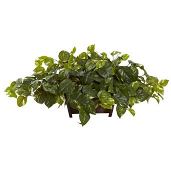 nearly natural Pothos Rectangle Decorative Arrangement