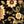 Black Ivory