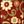 Red Ivory