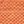 Cream Terracotta
