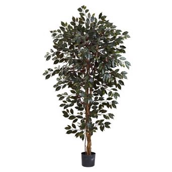 nearly natural 6-foot Capensia Ficus Tree