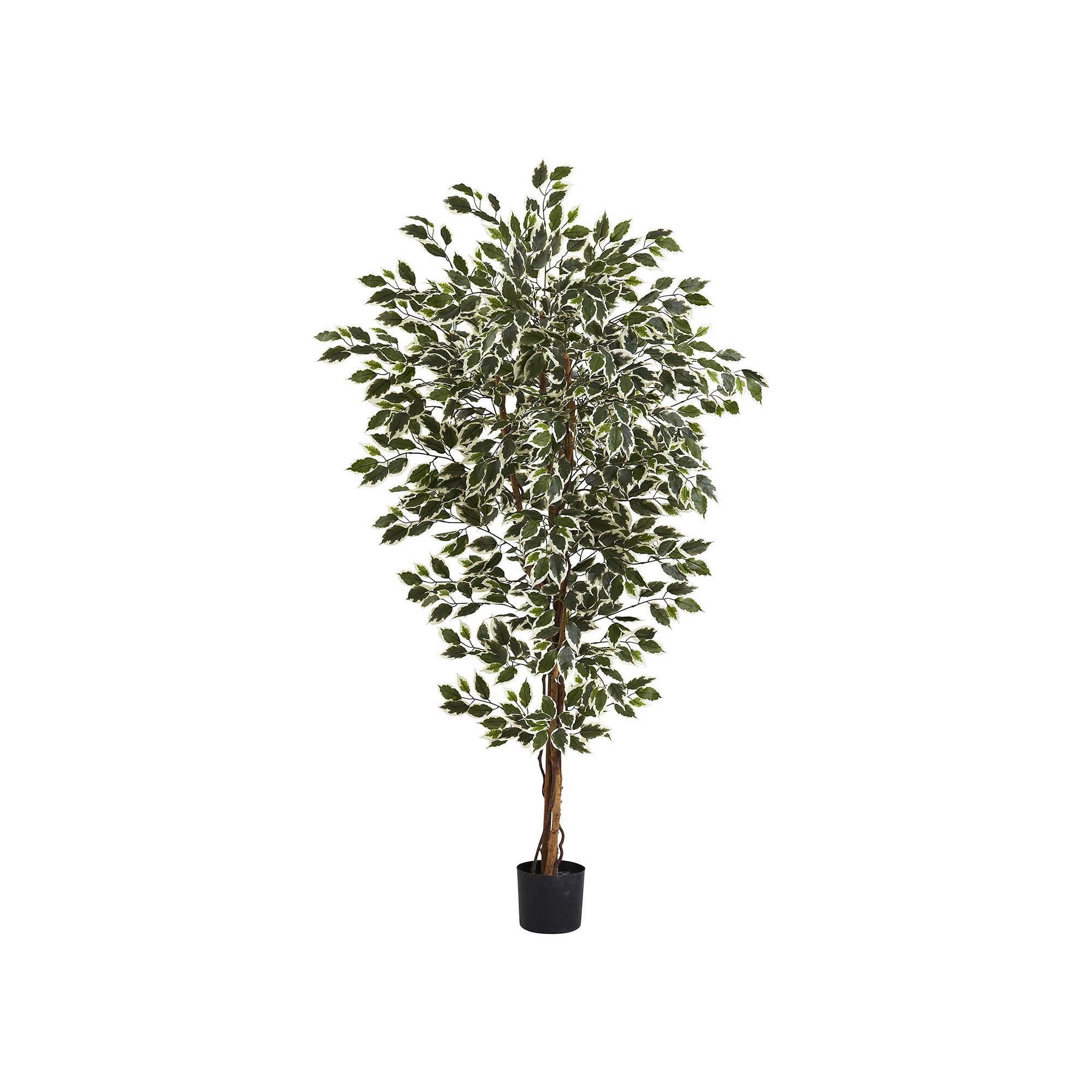 nearly natural 6-foot Hawaiian Ficus Tree, Green