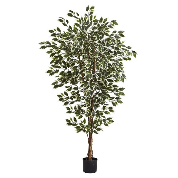 nearly natural 6-foot Hawaiian Ficus Tree