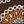 Chocolate Terracotta