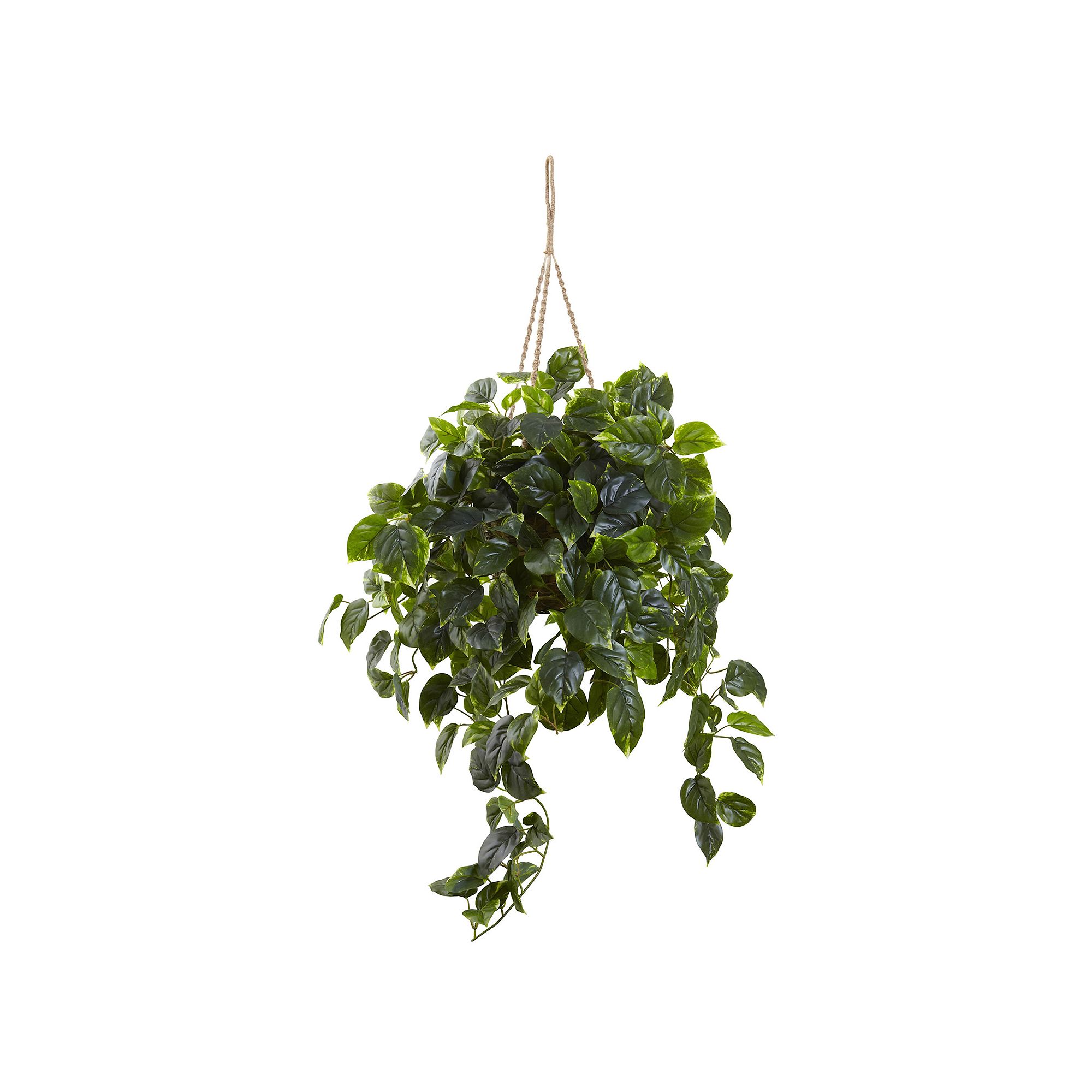 nearly natural Pothos Hanging Plant, White