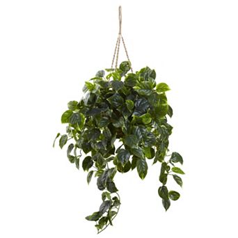 nearly natural Pothos Hanging Plant