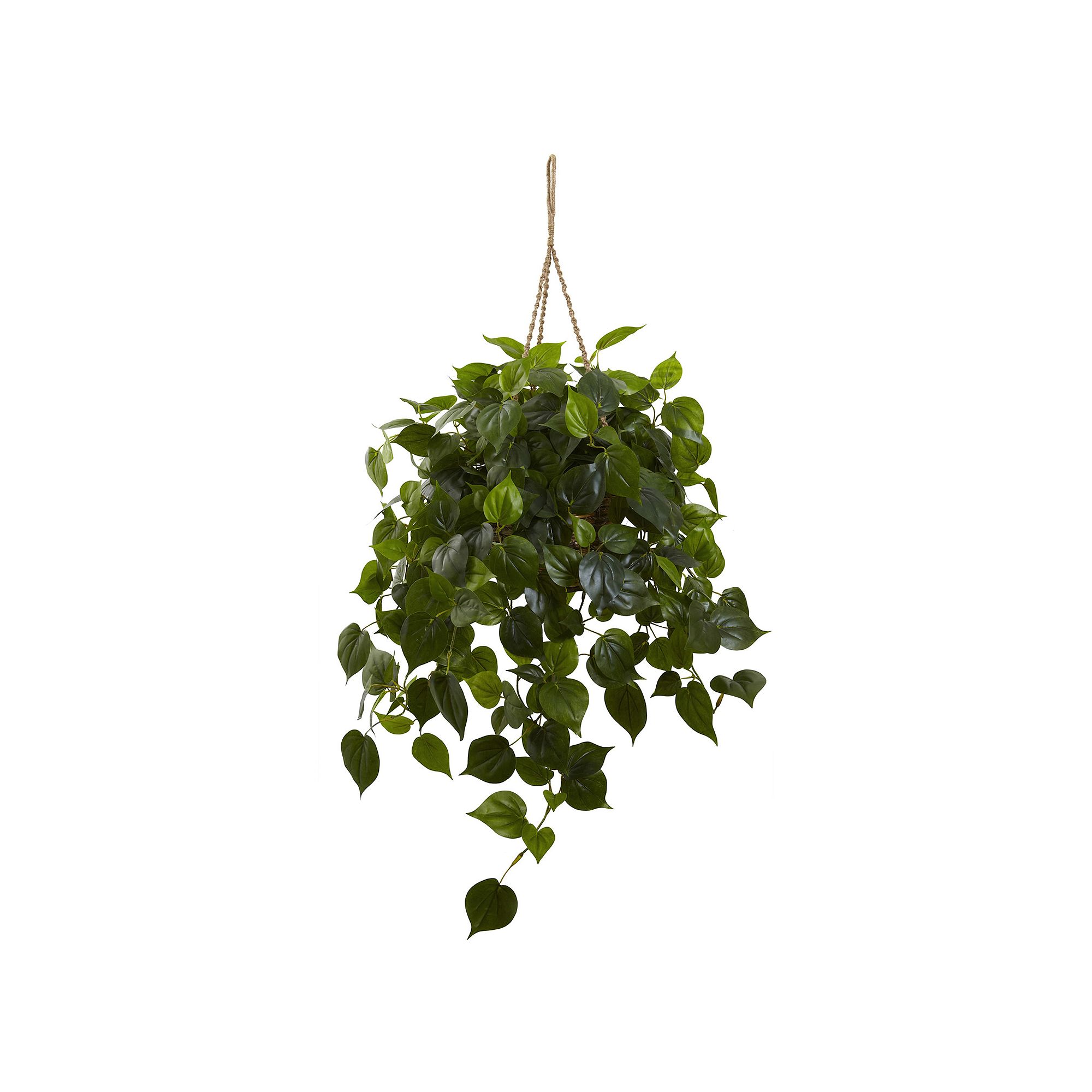 nearly natural Philodendron Hanging Plant, Yellow