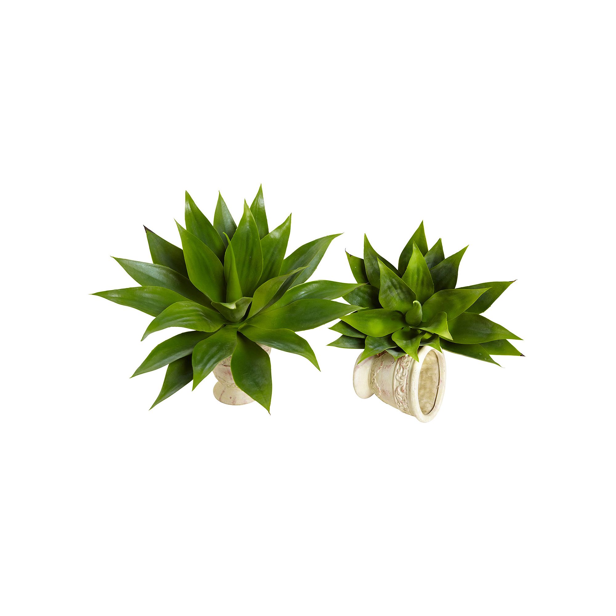 nearly natural 2-piece Agave Succulent Plant Set, Multicolor
