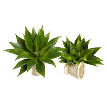 nearly natural 2 pc Agave Succulent Plant Set