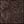 Brown Gray