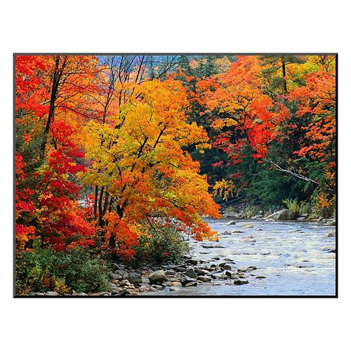 Art.com ''Stream in Autumn Woods'' Wall Art