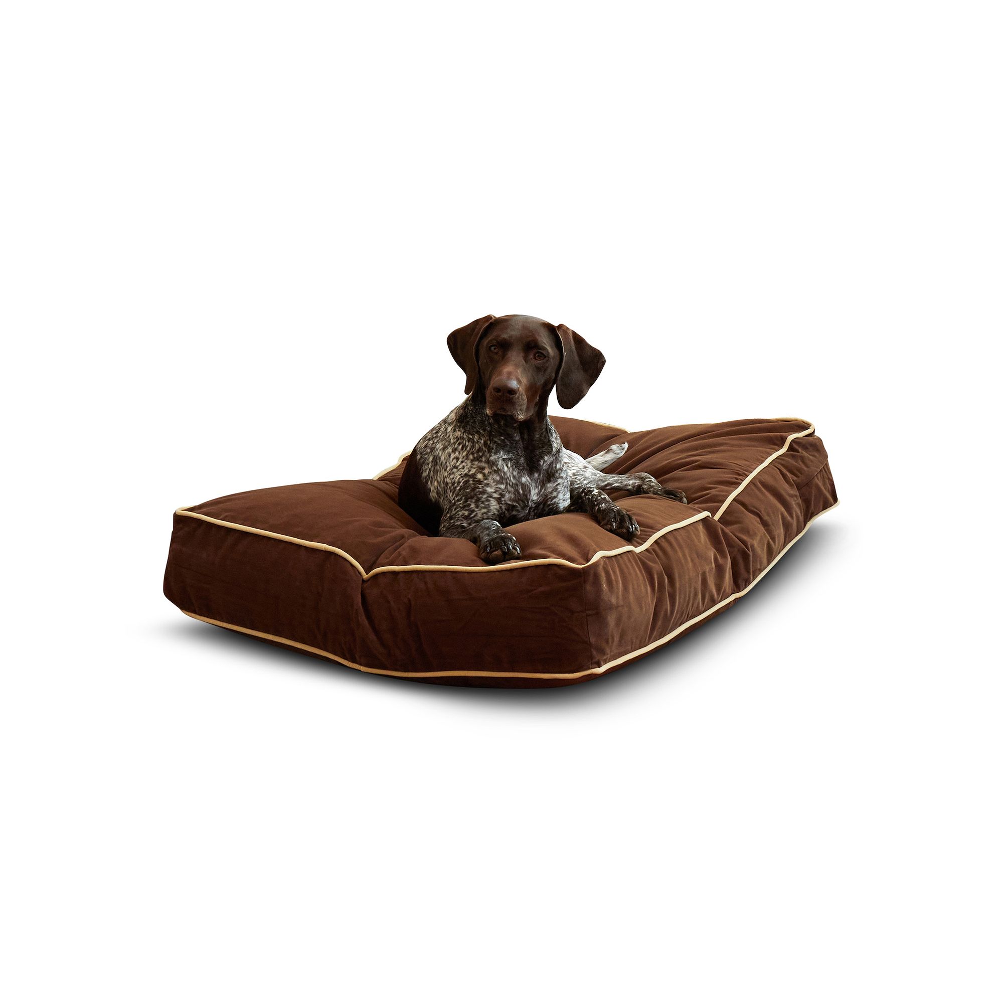 Happy Hounds Buster Rectangle Pillow Dog Bed, Brown