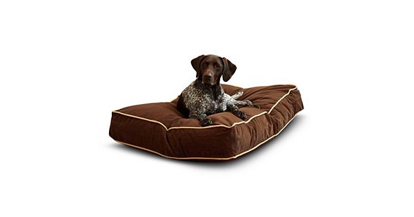 Happy Hounds Deluxe Buster Dog Bed