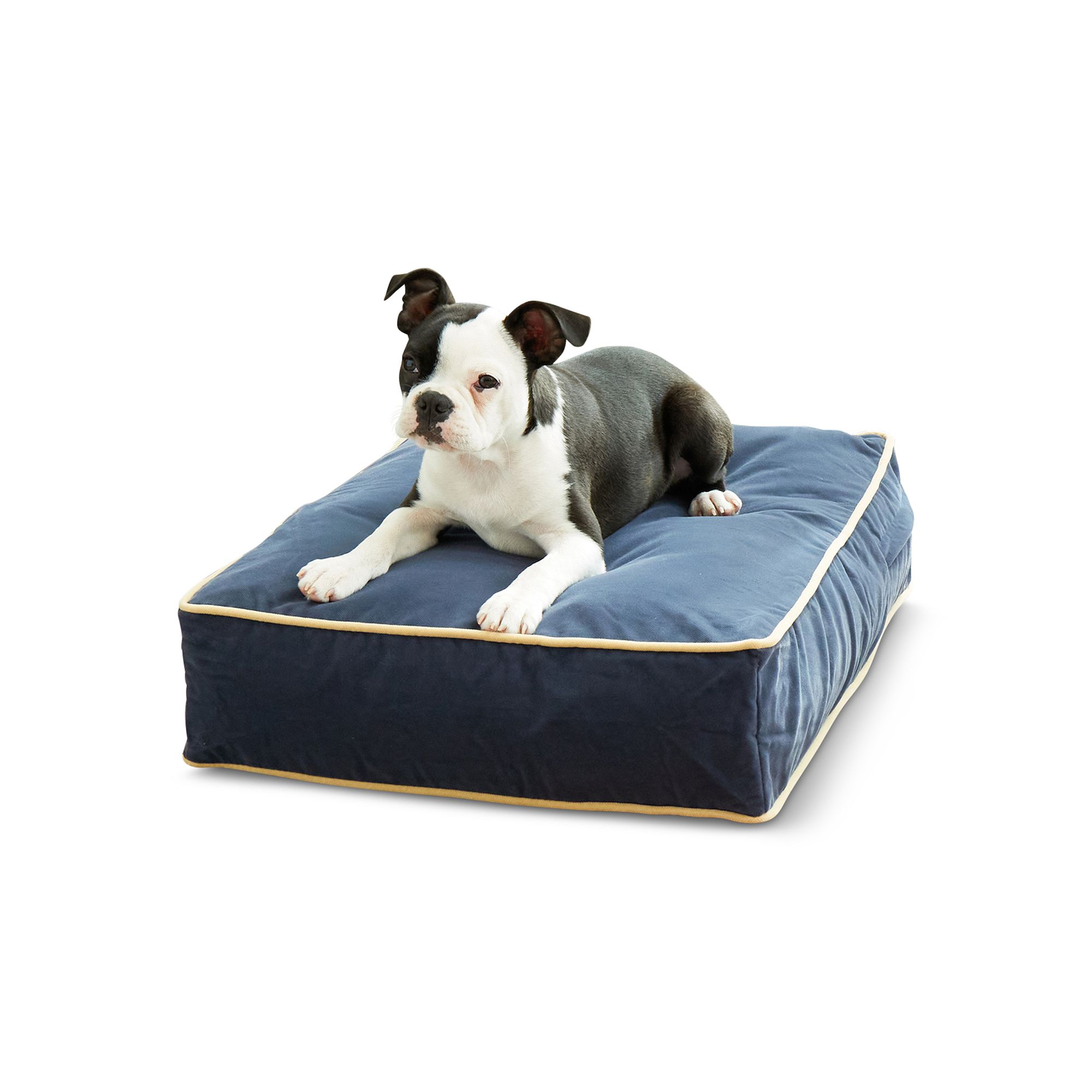 Happy Hounds Buster Rectangle Pillow Dog Bed, Blue