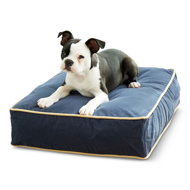 Kohls dog clearance bed