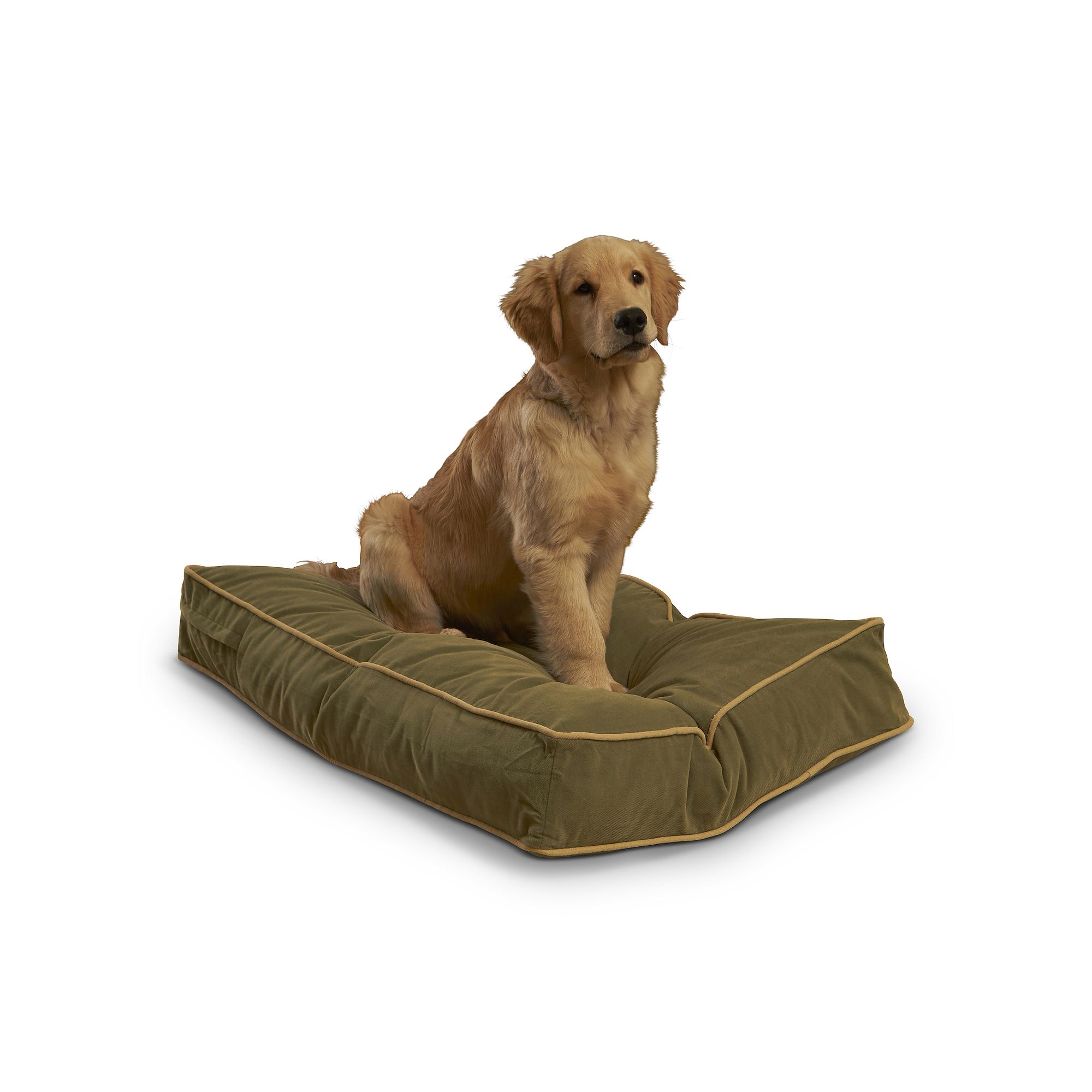 Happy Hounds Buster Rectangle Pillow Dog Bed, Green