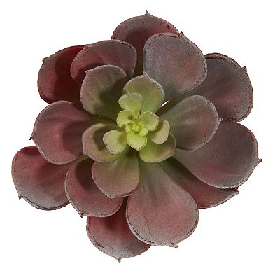 nearly natural 12-piece Echeveria Succulent Plant Set