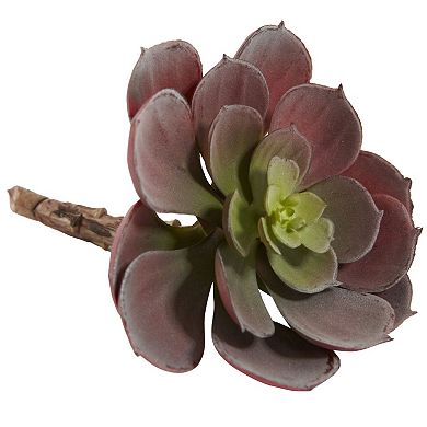 nearly natural 12-piece Echeveria Succulent Plant Set