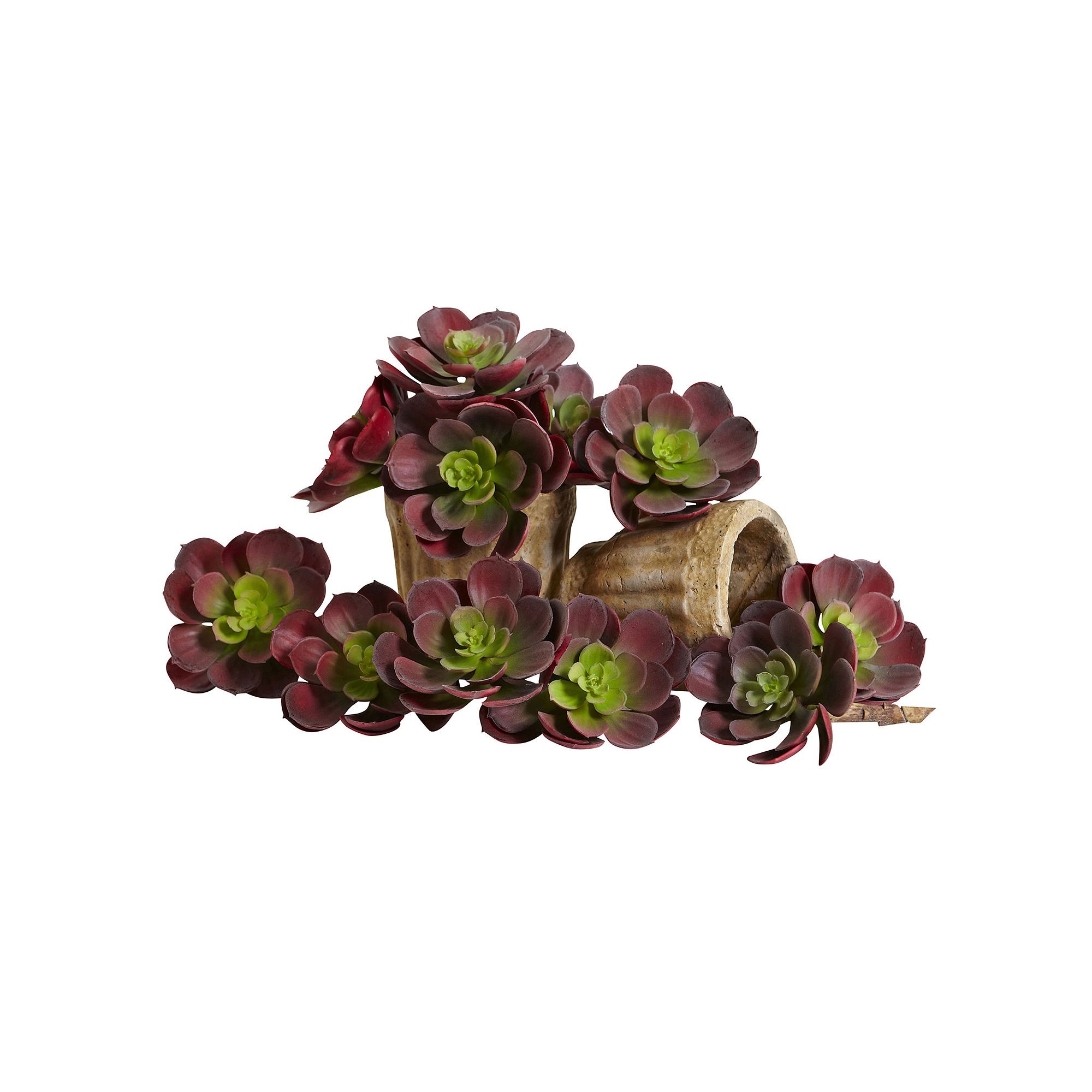 nearly natural 12-piece Echeveria Succulent Plant Set, Red
