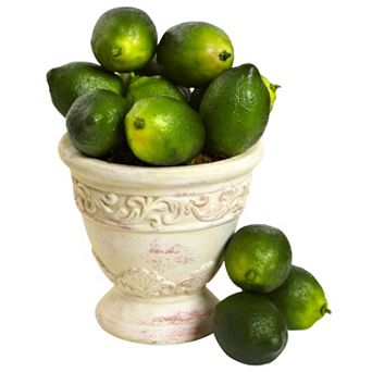 nearly natural 12 pc Faux Lime Set
