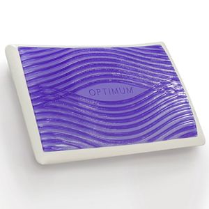 Sealy Optimum Memory Foam & Optigel Pillow