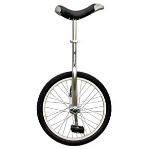 Fun 20-in. Unicycle