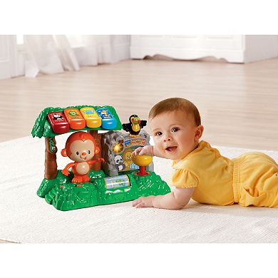VTech Learn & Dance Interactive Zoo