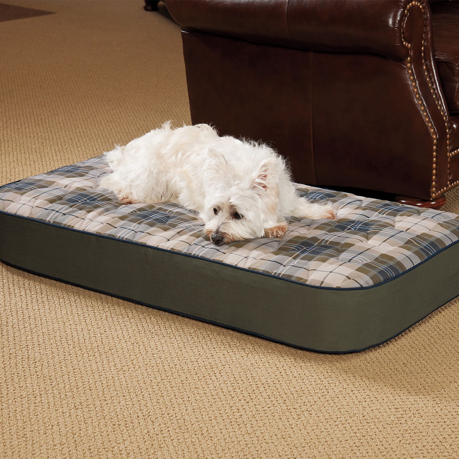 dr foster and smith dog beds