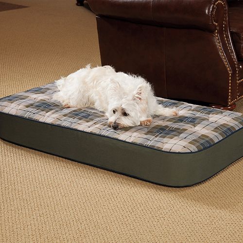 Doctors Foster & Smith Super Deluxe Orthopedic Pet Bed