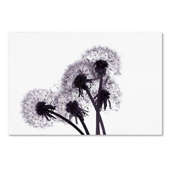 Trademark Fine Art "Bunch of Wishes" Canvas Wall Art