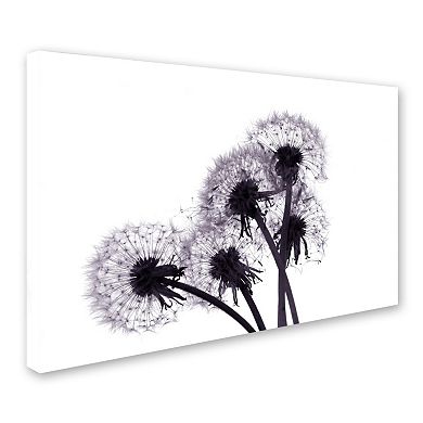 Trademark Fine Art "Bunch of Wishes" Canvas Wall Art