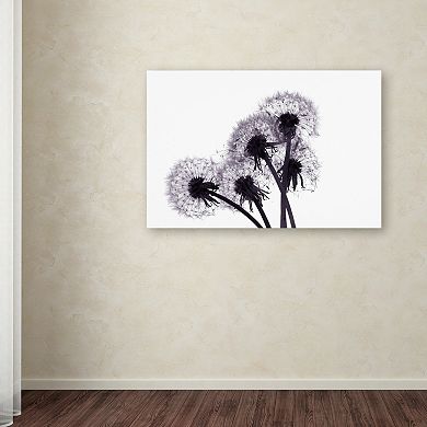 Trademark Fine Art "Bunch of Wishes" Canvas Wall Art