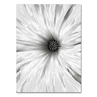 Trademark Fine Art "White Garden" Canvas Wall Art
