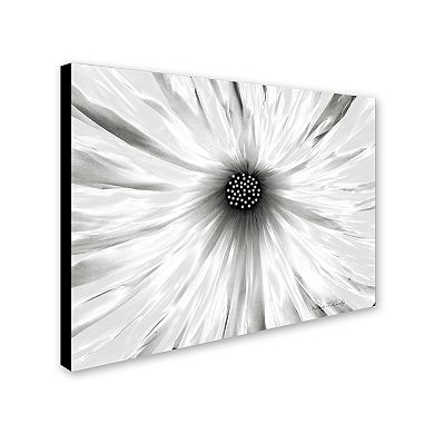 Trademark Fine Art "White Garden" Canvas Wall Art