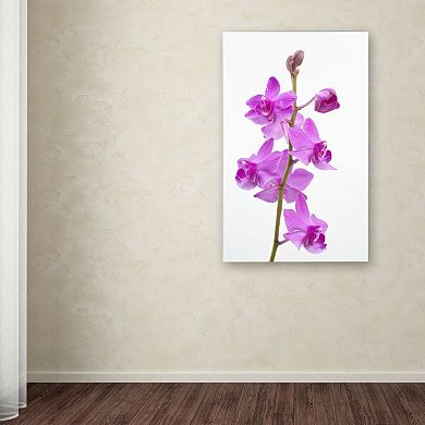 Trademark Fine Art "Purple Orchids" Canvas Wall Art by Kurt Shaffer