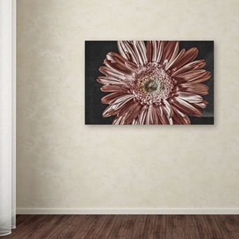 Trademark Fine Art "Silvery Pink" Canvas Wall Art