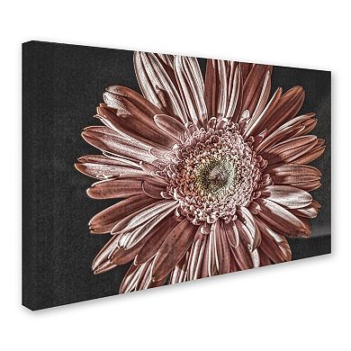 Trademark Fine Art "Silvery Pink" Canvas Wall Art
