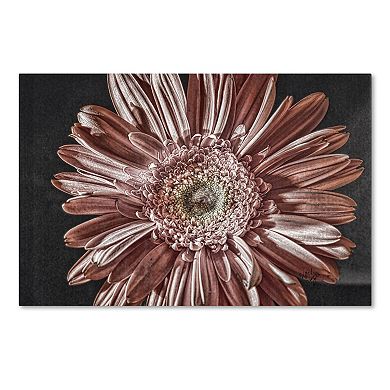 Trademark Fine Art "Silvery Pink" Canvas Wall Art